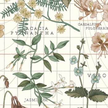 BOTANIST’S JOURNEY LTY0363-4234B