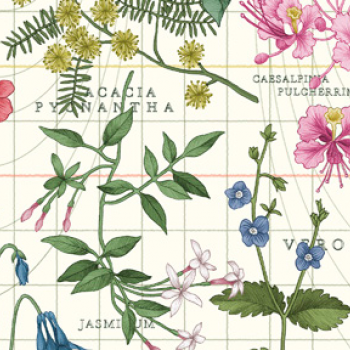 BOTANIST’S JOURNEY LTY0363-4234C