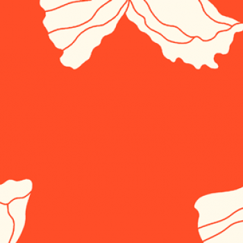 Fragile Blooms LTY03634206B