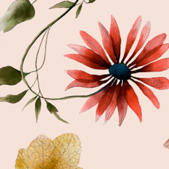 Herbarium LTY0363-4224C