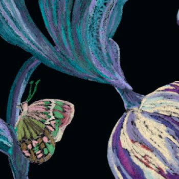 Midnight Sketch LTY0363-4229C