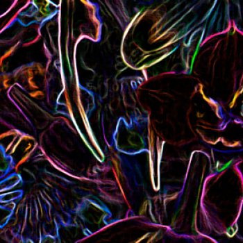 Neon Night LTY0363-4220C