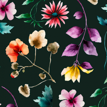 Herbarium LTY0363-4224A