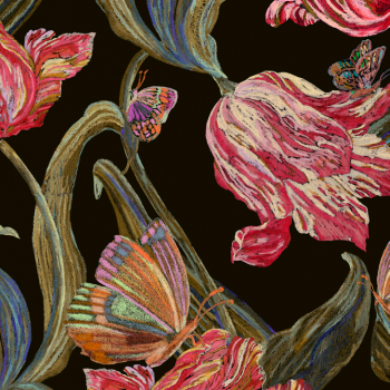 Midnight Sketch LTY03634229A